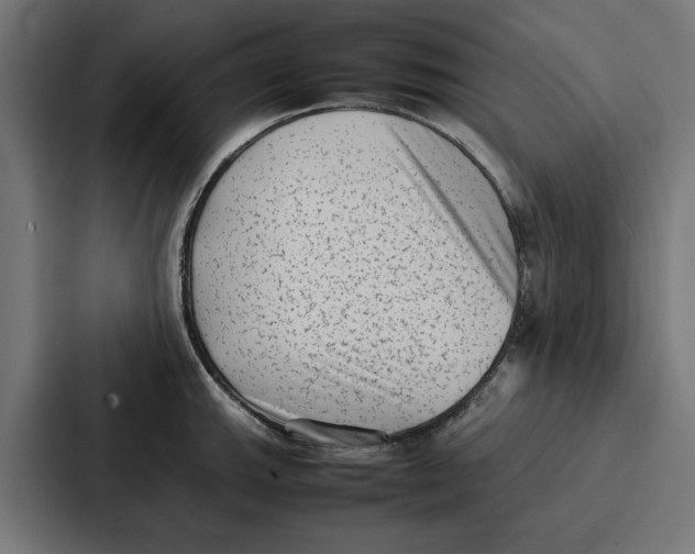 X0000087321143200705112132