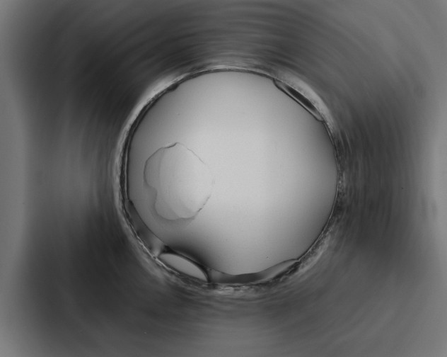 X0000087321146200705112132