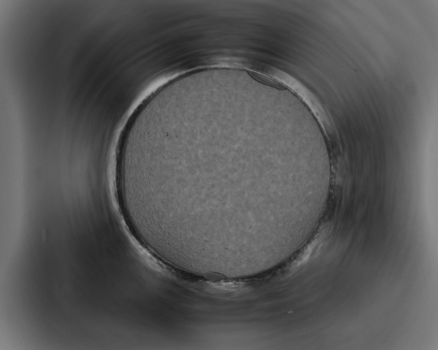 X0000087321147200705112132