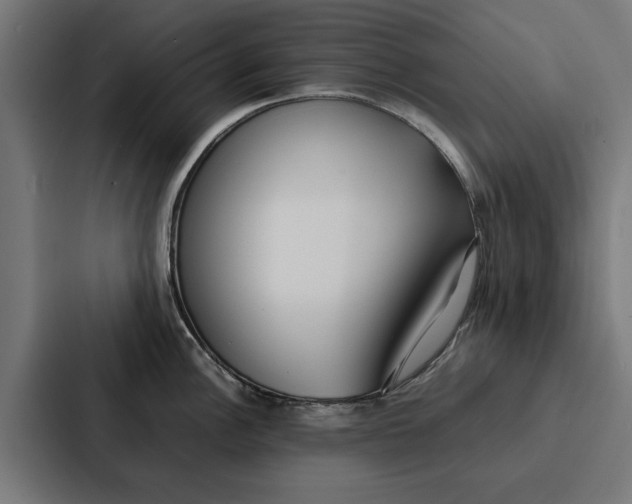 X0000087321148200705112132