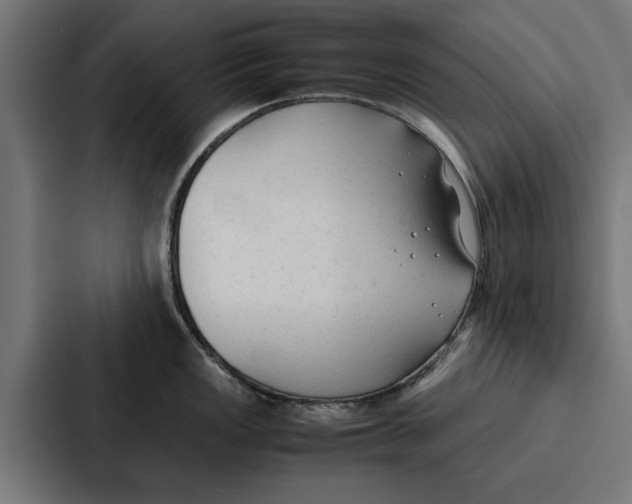 X0000087321149200705112132