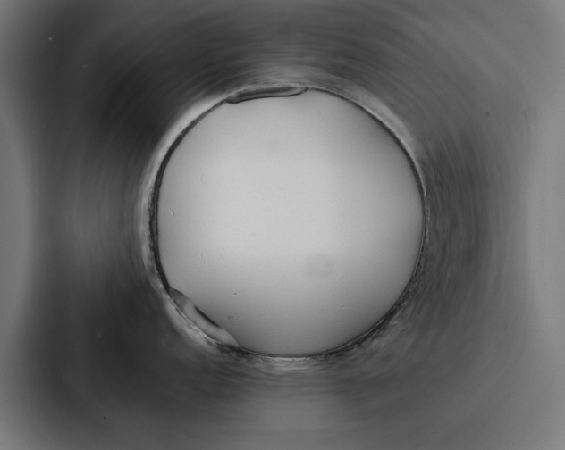 X0000087321152200705112132