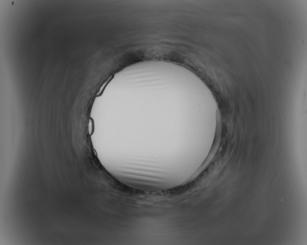 X0000087321153200705112131