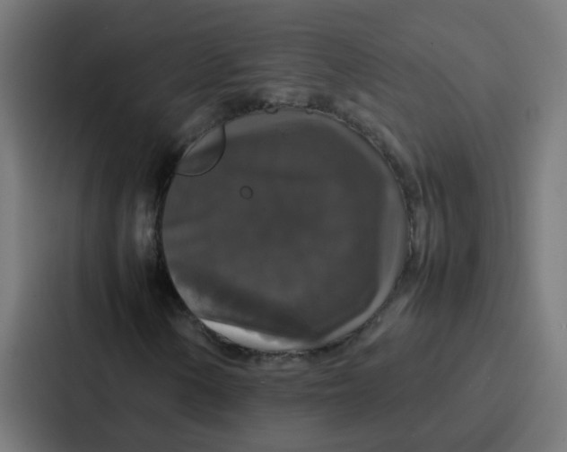 X0000087321154200705112131