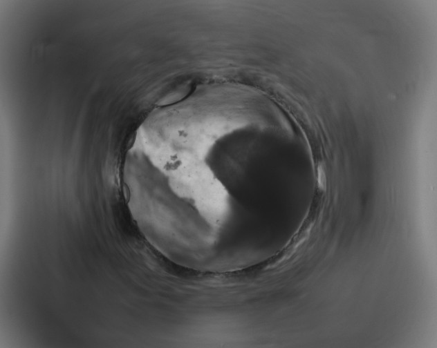 X0000087321155200705112131