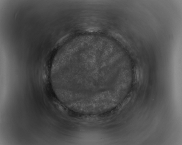 X0000087321158200705112131