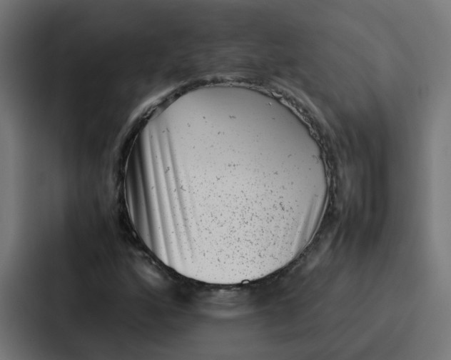 X0000087321160200705112131