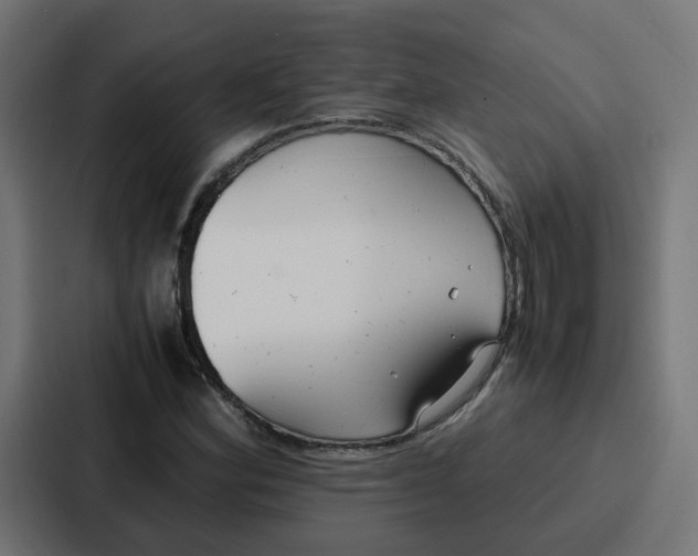 X0000087321164200705112131