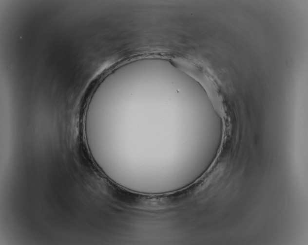 X0000087321165200705112131