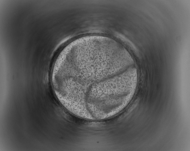 X0000087321166200705112131