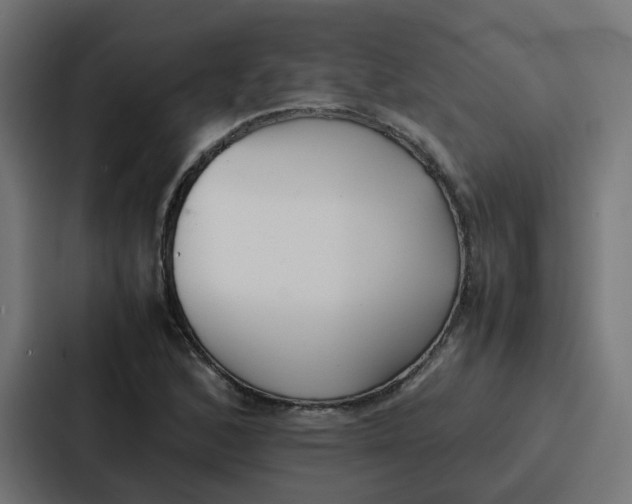 X0000087321168200705112131