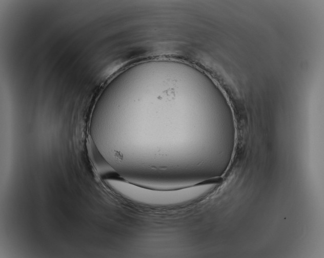 X0000087321169200705112131