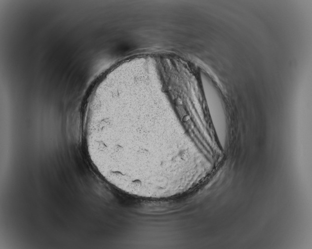 X0000087321171200705112131