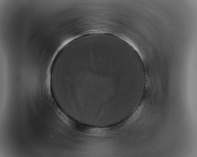 X0000087321179200705112131