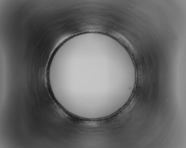 X0000087321182200705112131