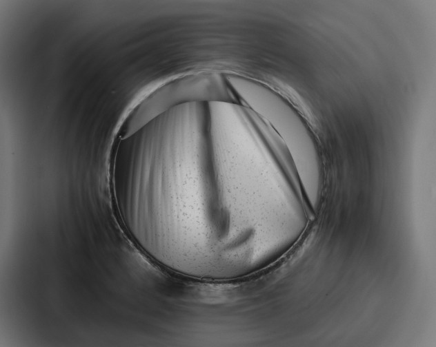 X0000087321184200705112131