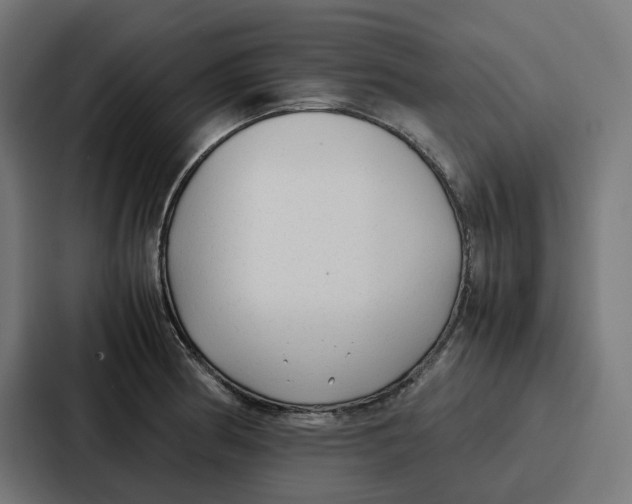 X0000087321186200705112131