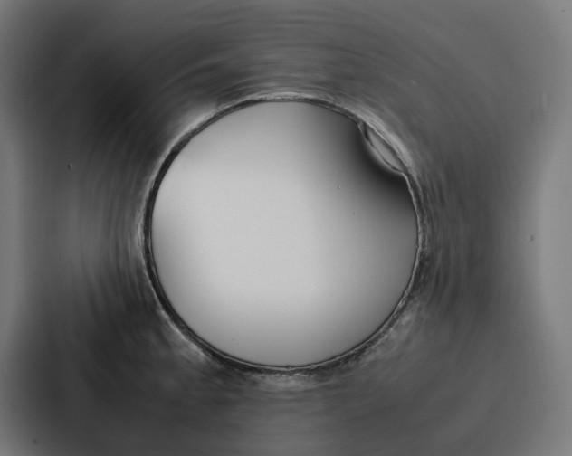 X0000087321189200705112131