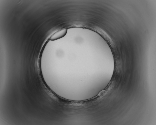 X0000087321190200705112131