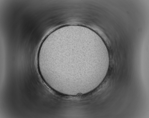 X0000087321191200705112131