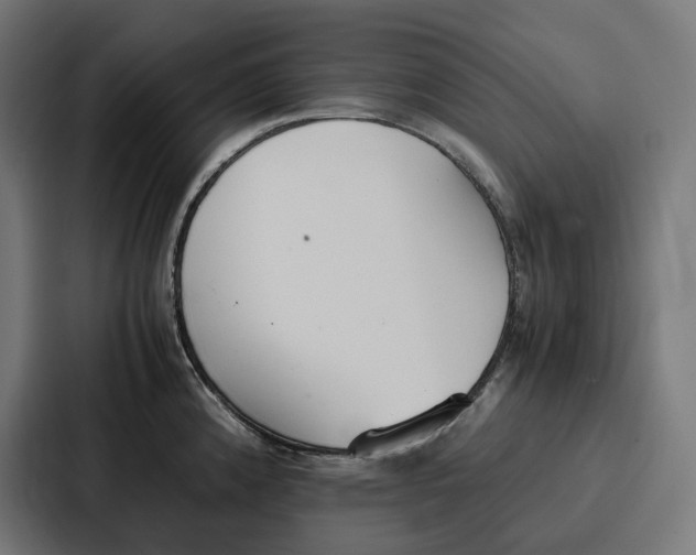 X0000087321192200705112131