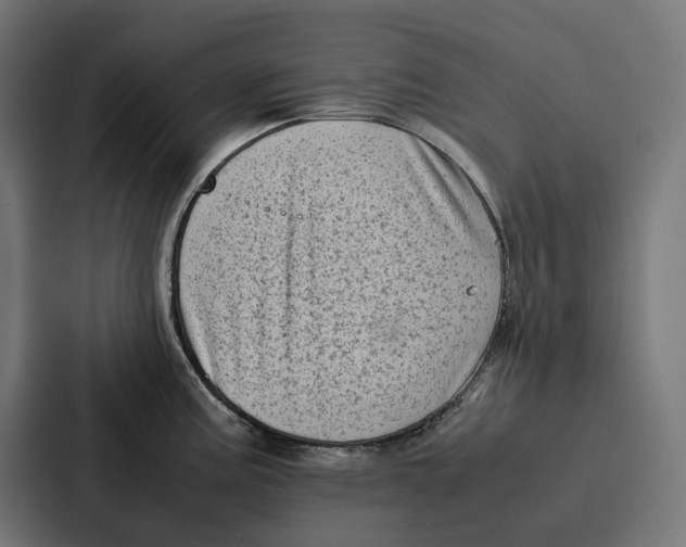 X0000087321195200705112131