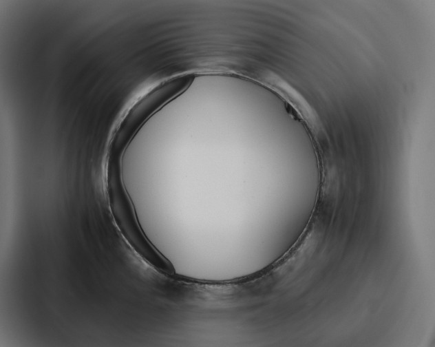 X0000087321196200705112131