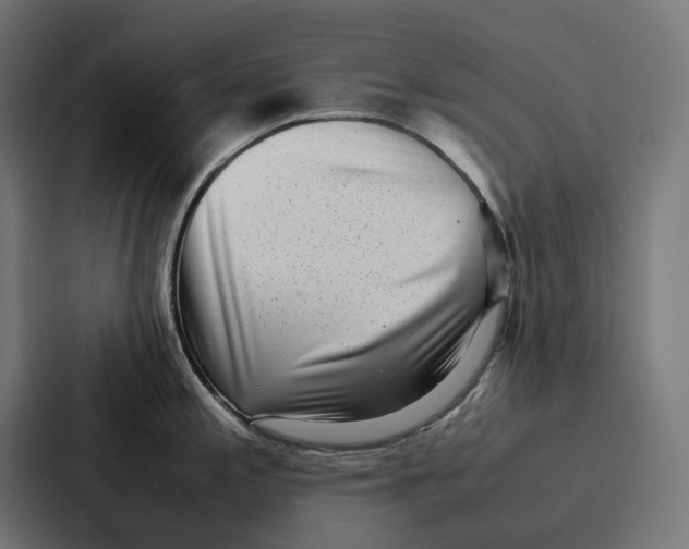 X0000087321197200705112131