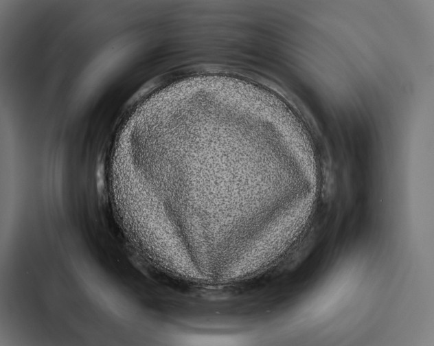 X0000087321198200705112131