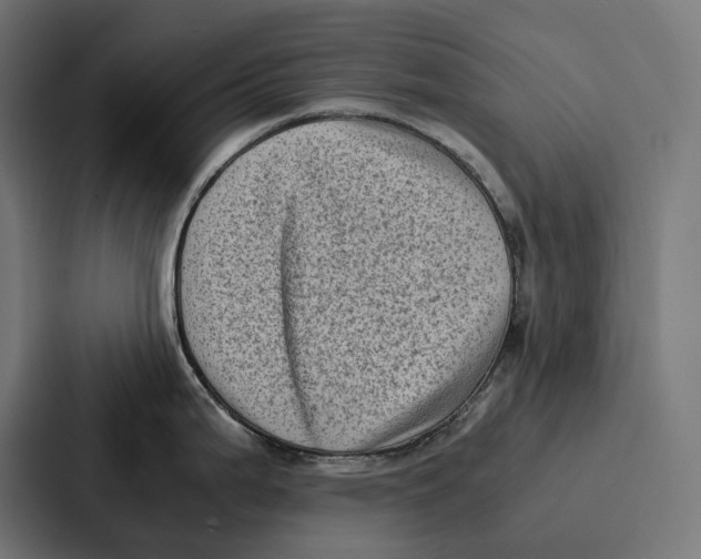 X0000087321199200705112131