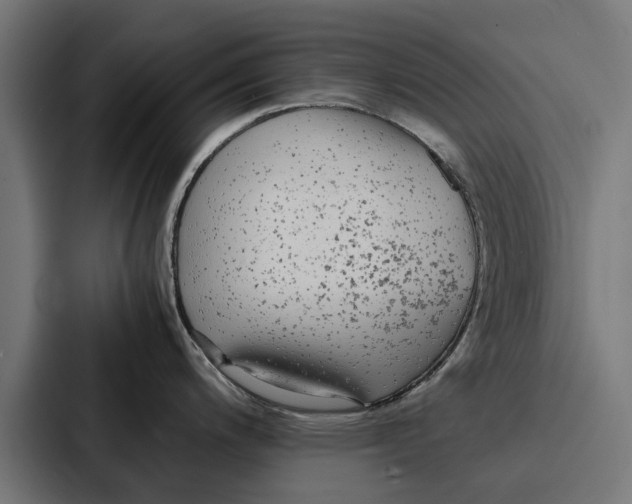 X0000087321200200705112131