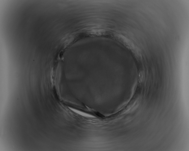 X0000087321202200705112130