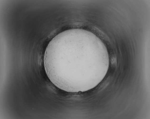 X0000087321204200705112130