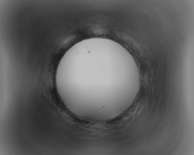 X0000087321205200705112130