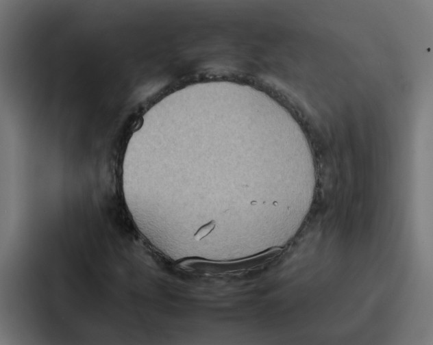 X0000087321207200705112130