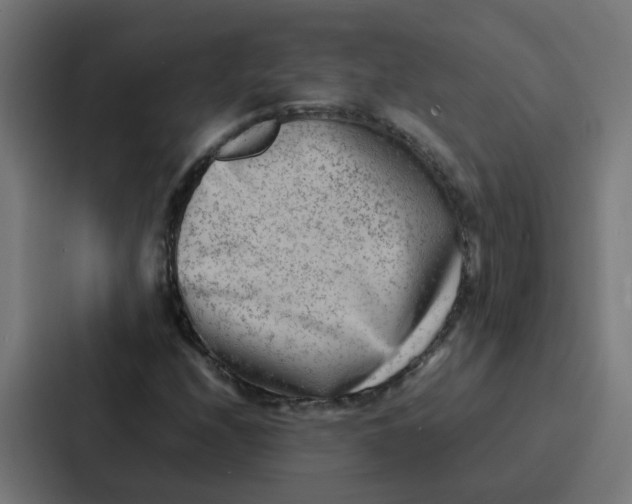 X0000087321208200705112130