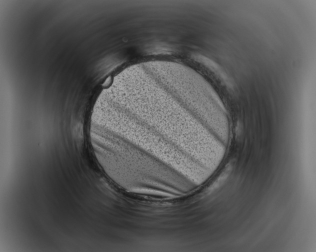 X0000087321209200705112130