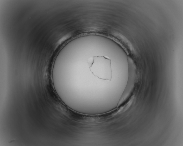 X0000087321210200705112130