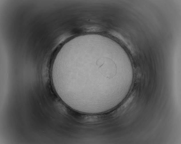 X0000087321211200705112130