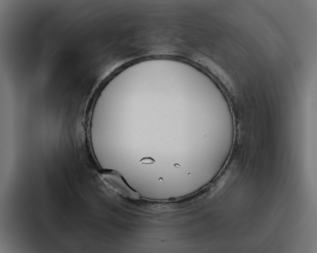 X0000087321212200705112130