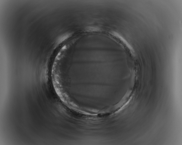 X0000087321213200705112130