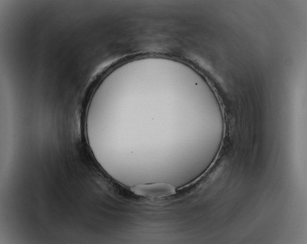 X0000087321214200705112130