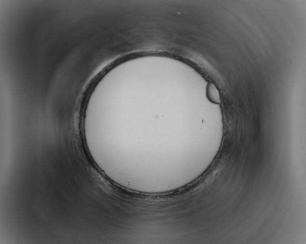 X0000087321216200705112130