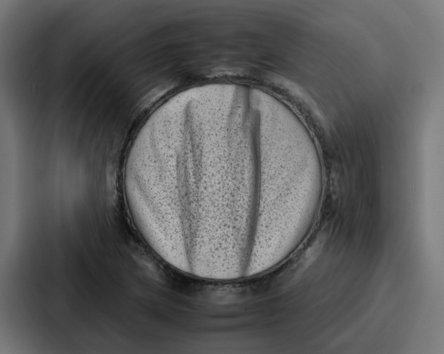 X0000087321217200705112130