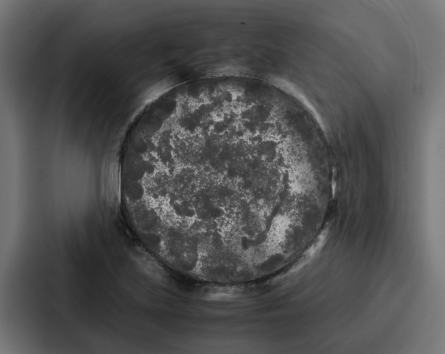 X0000087321219200705112130