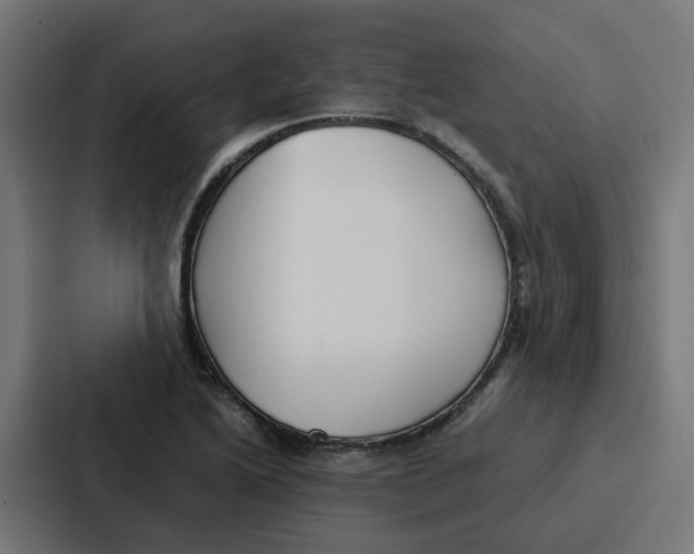 X0000087321222200705112130