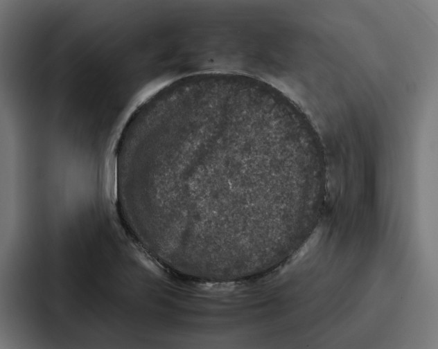 X0000087321223200705112130