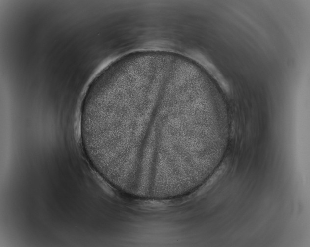 X0000087321224200705112130