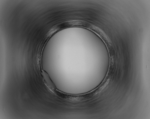 X0000087321225200705112130