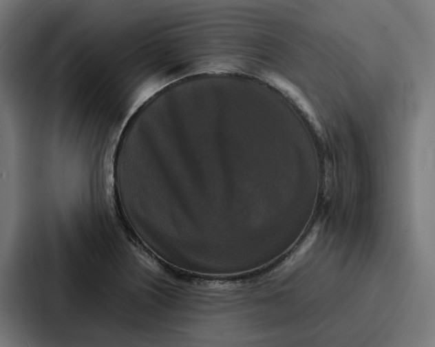 X0000087321226200705112130